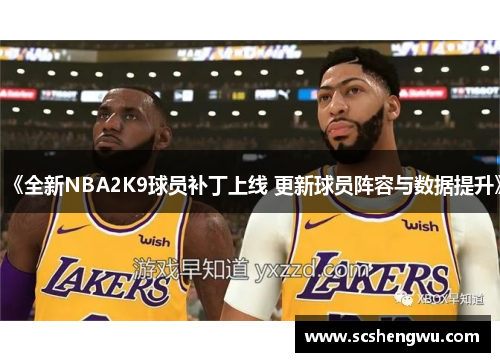 《全新NBA2K9球员补丁上线 更新球员阵容与数据提升》