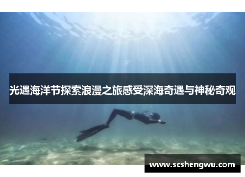 光遇海洋节探索浪漫之旅感受深海奇遇与神秘奇观