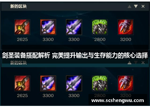 剑圣装备搭配解析 完美提升输出与生存能力的核心选择