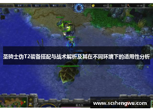 圣骑士伪T2装备搭配与战术解析及其在不同环境下的适用性分析